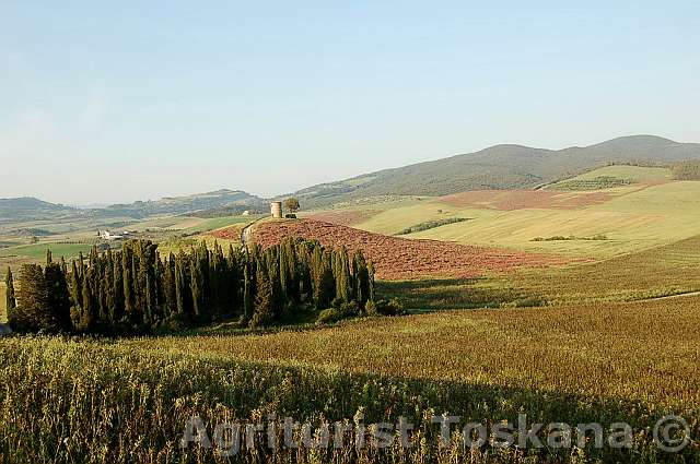podere 011
